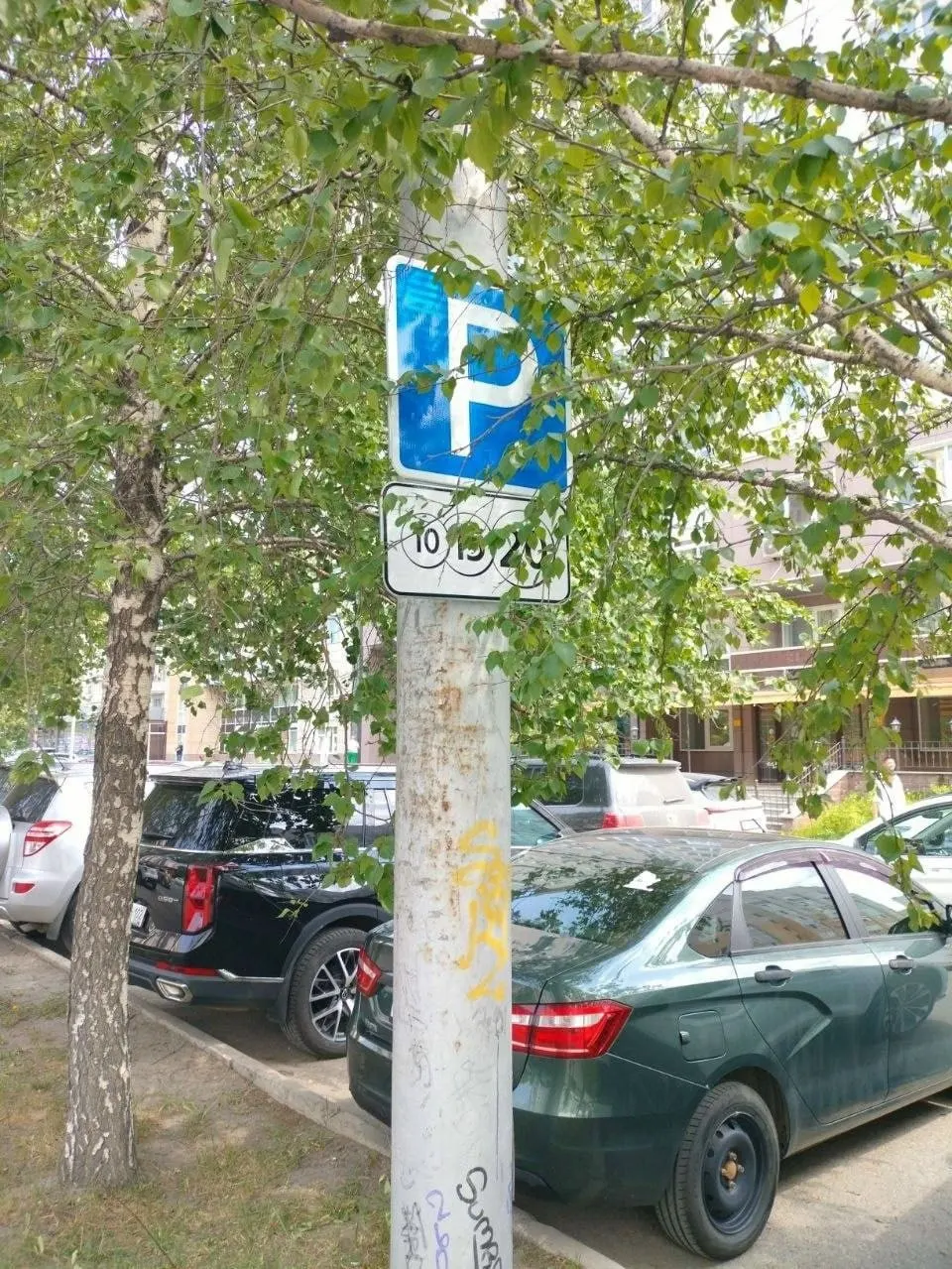 На улице Цюрупа знак платной парковки установили на столбе в кустах — его не видно с дороги. Жители предполагают, что так вводят в заблуждение водителей.
