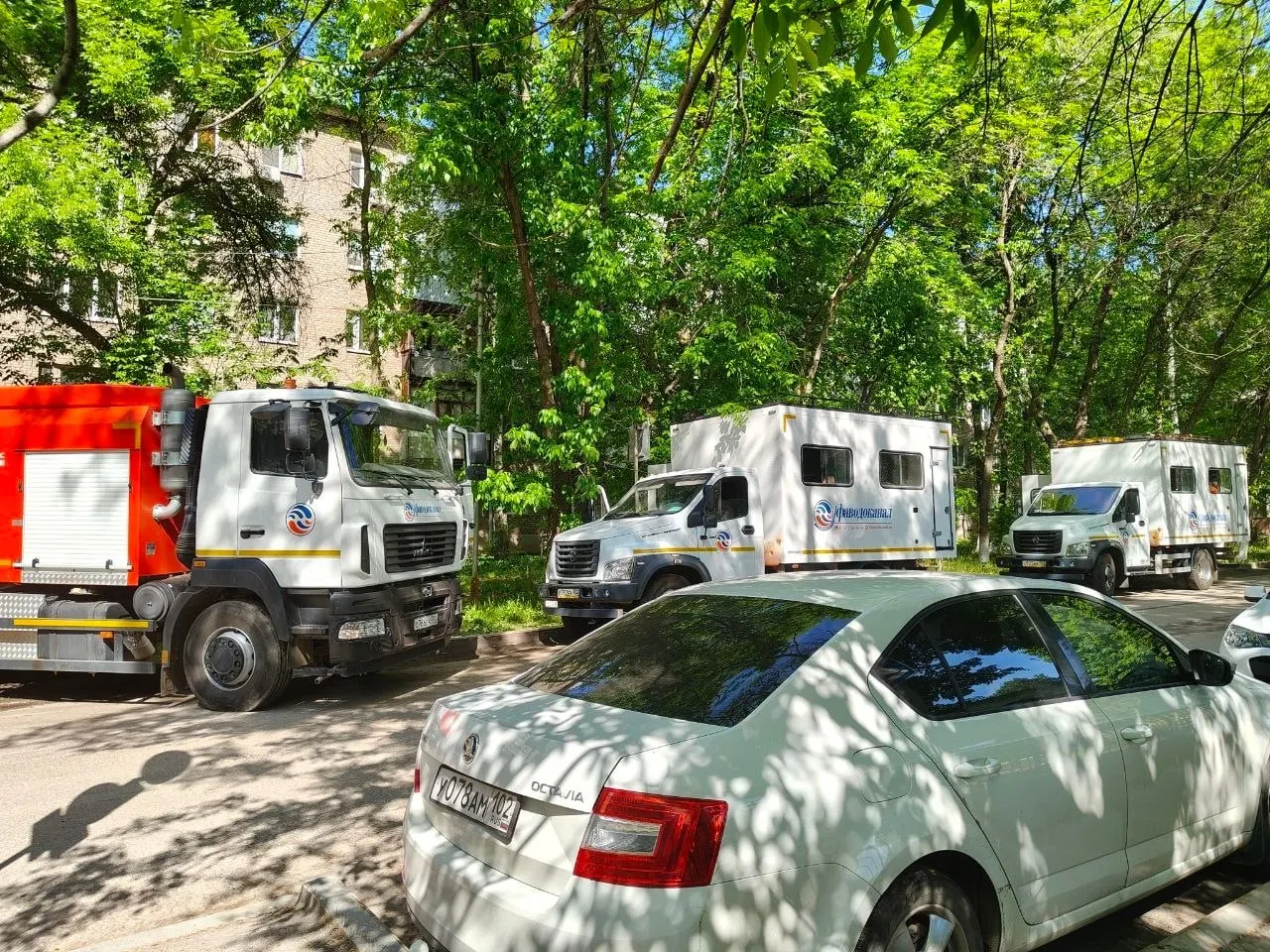 Жители домов на Петропавловской сообщают, что из-под земли под сильным напором утекает питьевая вода уже пятый день. По их словам, реакция коммунальных служб была минимальной — существенные работы начались только после обращения в Следственный комитет.