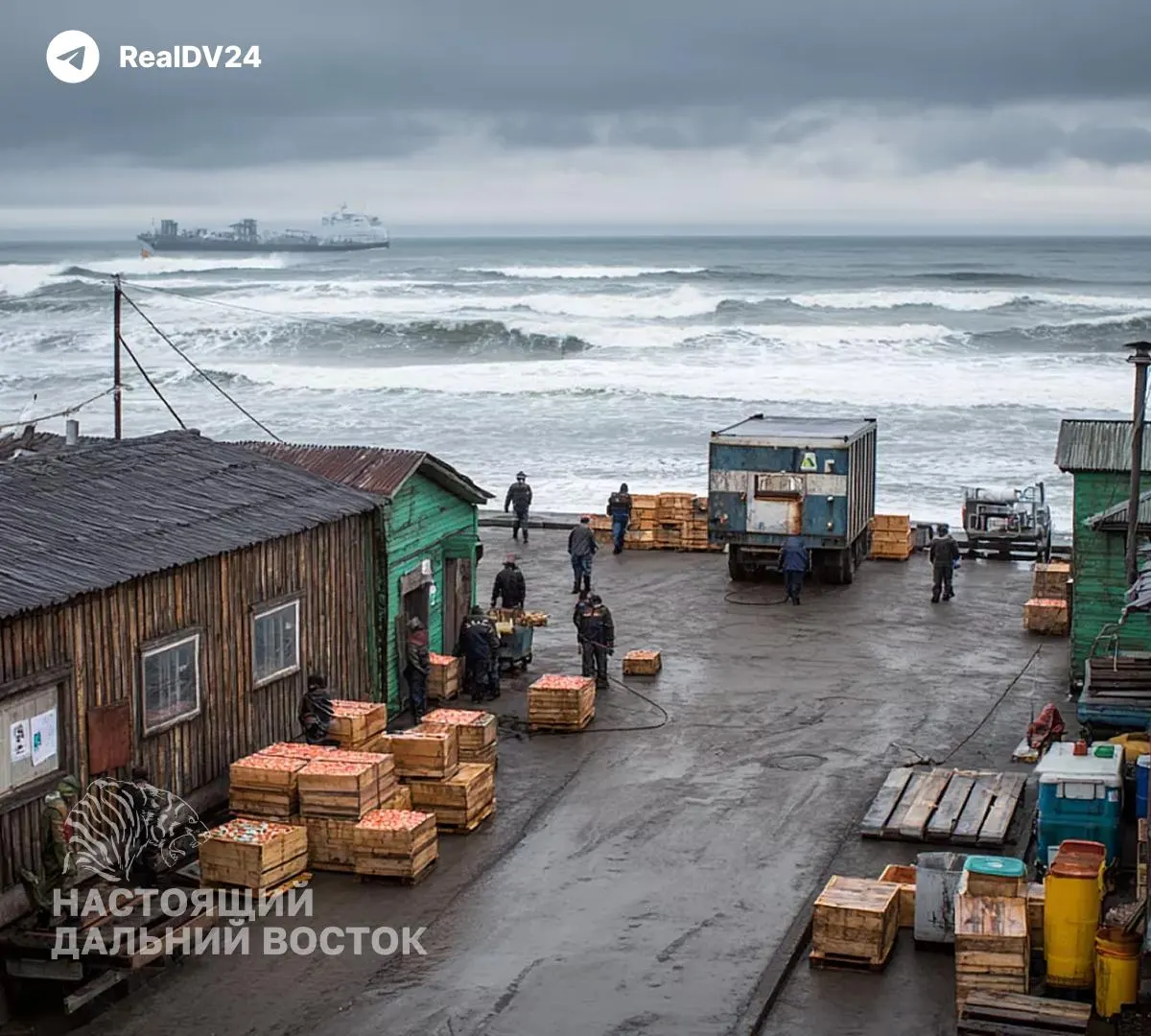 Студент из Уфы описал суровые условия на рыбоперерабатывающем предприятии на Камчатке: короткий сон, ручная сортировка потрохов, ночёвки на полу и заработок, зависящий от улова.