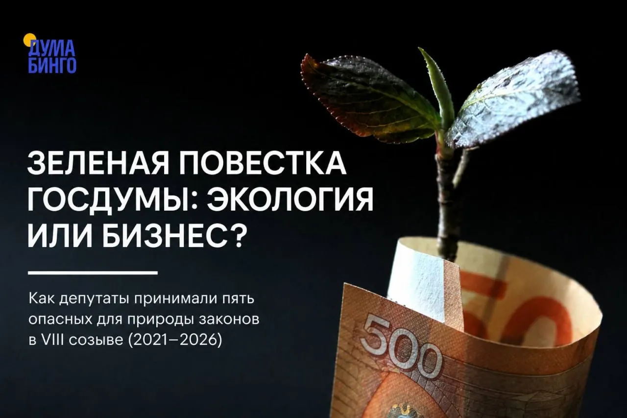 За последние годы парламент одобрил ряд законов, которые ограничивают общественный контроль и смещают баланс в пользу хозяйственного использования природных территорий — решения чаще всего проходят большинством «Единой России».