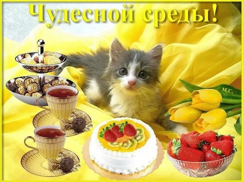 Сейчас около +14°C; днем ожидается до +22°C. Прогноз обещает преимущественно ясную и тёплую погоду на весь день.