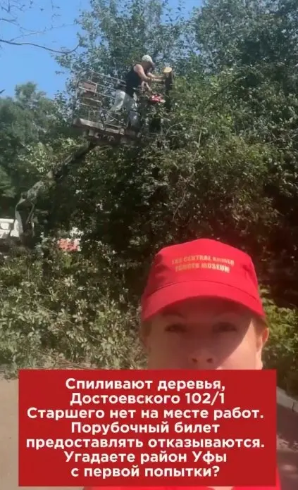 У дома на улице Достоевского мужчина отказался предъявить порубочный билет при рубке деревьев. Рассмотрим, какие правила действуют в Уфе и когда вырубка возможна без разрешения.