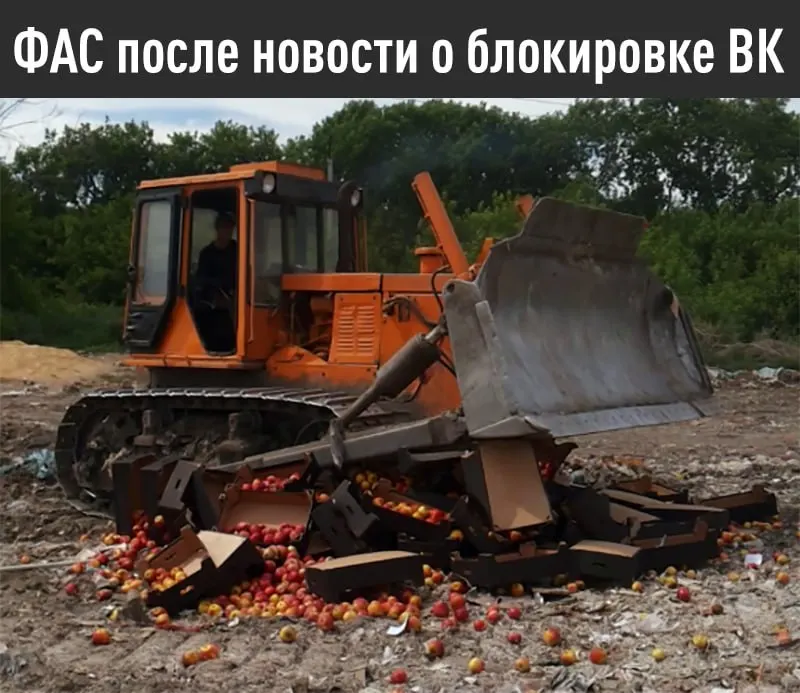 Федеральная антимонопольная служба выдала предупреждение компании и потребовала до 15 июля устранить дискриминационные условия в отношении российских поисковых систем и предустановить отечественное ПО.