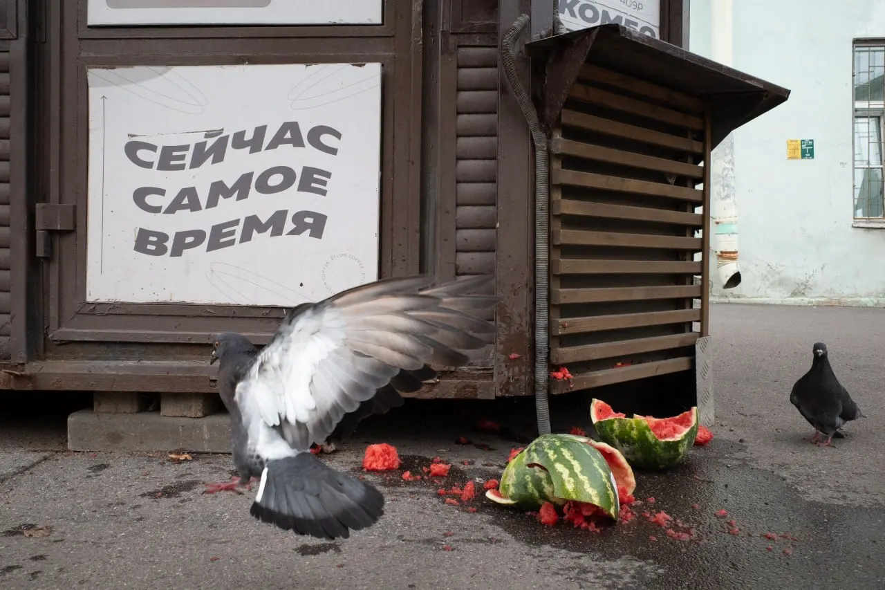 Ключевые события: штраф за антивоенную позицию священника в Петербурге, юридические процессы по выборам, памятные службы и кадровые перестановки в Минобороны, а также политические и социальные заметки по России и миру.