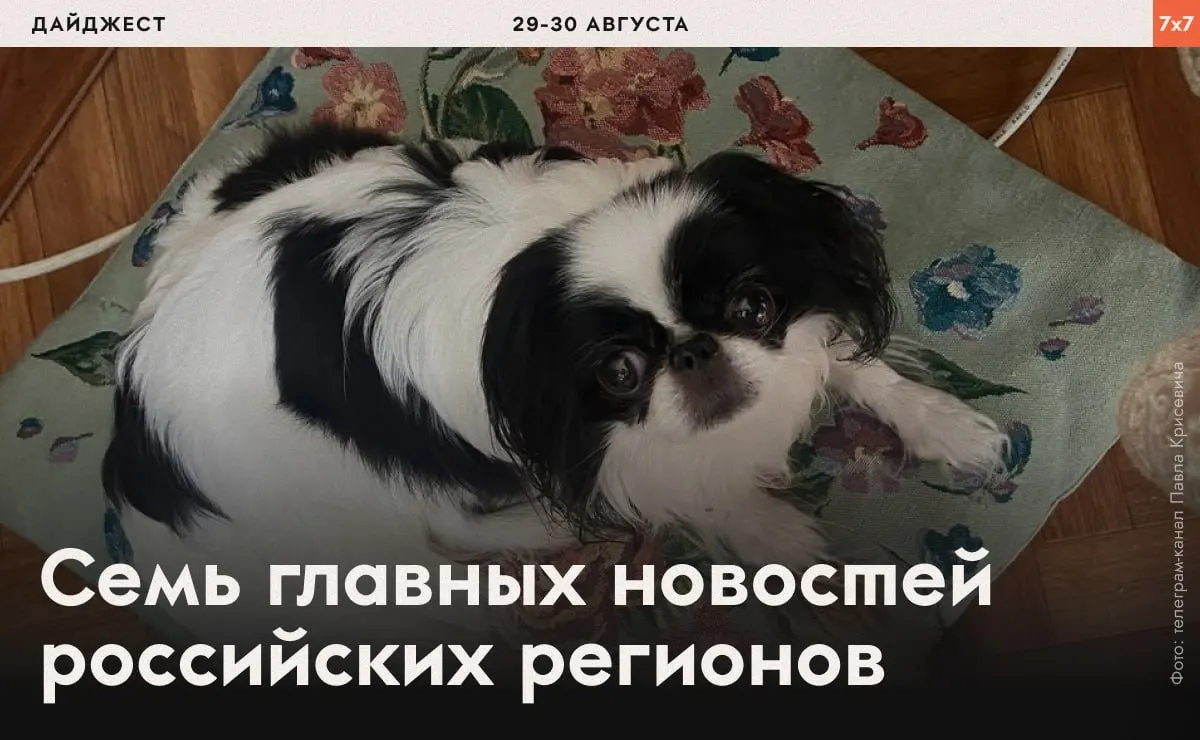 Короткая подборка новостей о задержаниях, давлении на активистов и запретах агитации в разных регионах России.