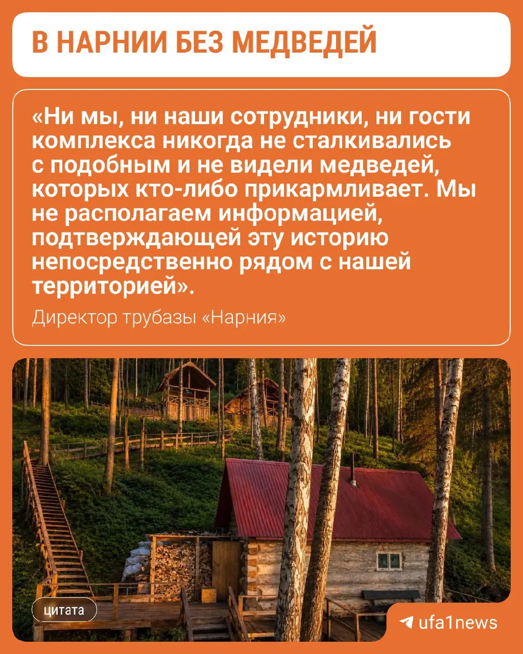 История о медведях возле туристической базы вызвала обсуждение: местная жительница сообщила детали инцидента, а экологами создана карта ареалов зверей.