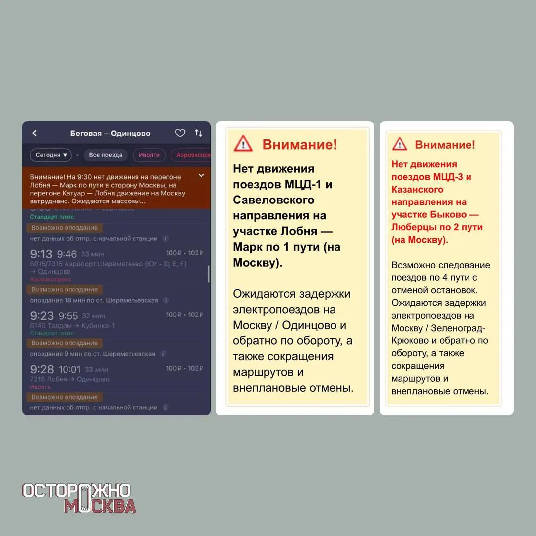 Сильный снегопад вызвал столкновение на трассе Зарайск—Луховицы с двумя погибшими. Упавшие деревья повредили линии электропередачи, пострадали несколько человек, зафиксированы перебои с электричеством и задержки пригородных поездов.