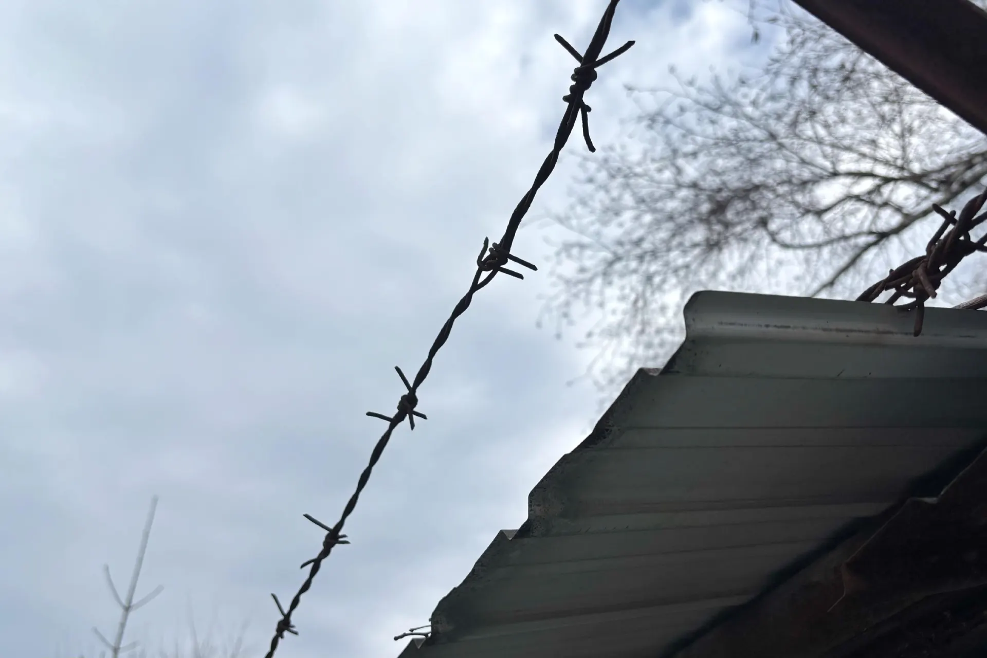 Женщина, по версии следствия, нанесла сожителю несколько ножевых ранений в голову. Суд избрал ей меру пресечения — содержание в СИЗО; следствие продолжается.