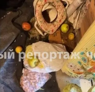 В одном из домов Черниковки нашли пятерых детей в возрасте от 3 до 14 лет, живших в антисанитарных условиях. Соседи утверждают, что мать злоупотребляет алкоголем и приводит в дом мужчин, которые могут причинять детям вред.