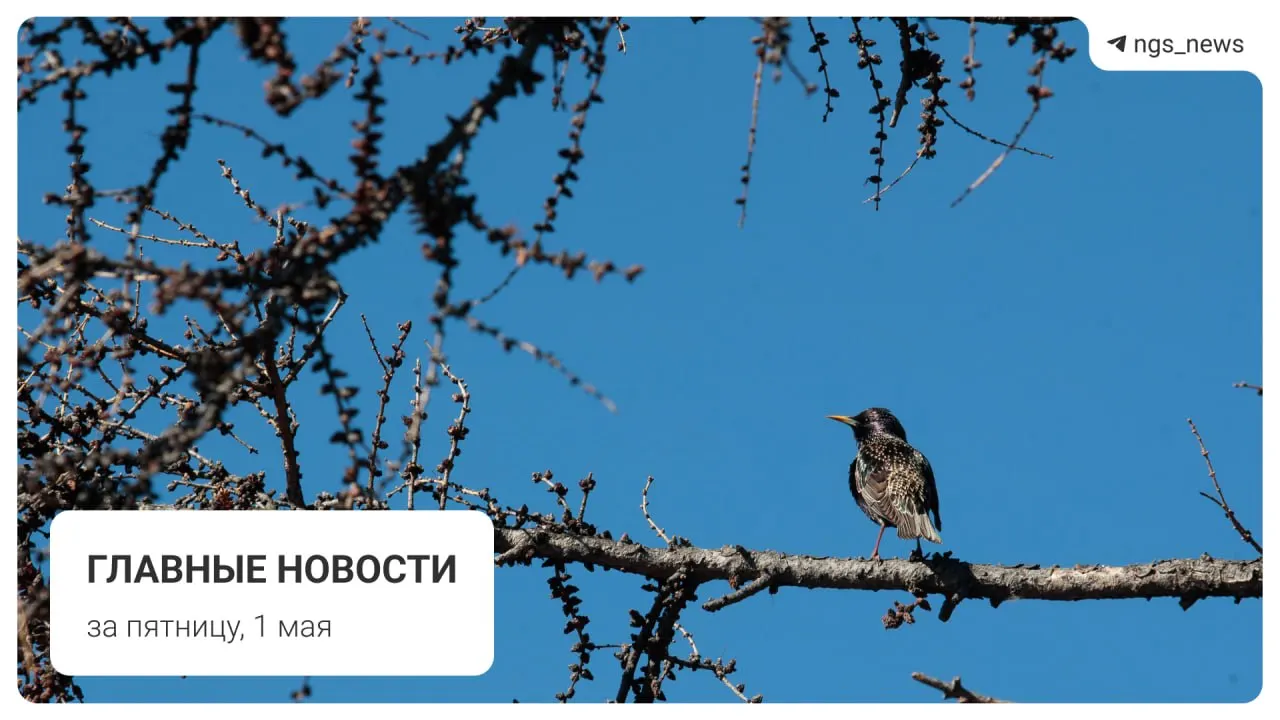 В Татарске рухнул потолок в детской спортивной школе, пострадавших нет. Также отмечены: пятивагонный поезд из старых вагонов на Дзержинской ветке, сроки включения фонтана в Центральном парке, первомайское шествие коммунистов у Монумента Славы и погром на площади Маркса.