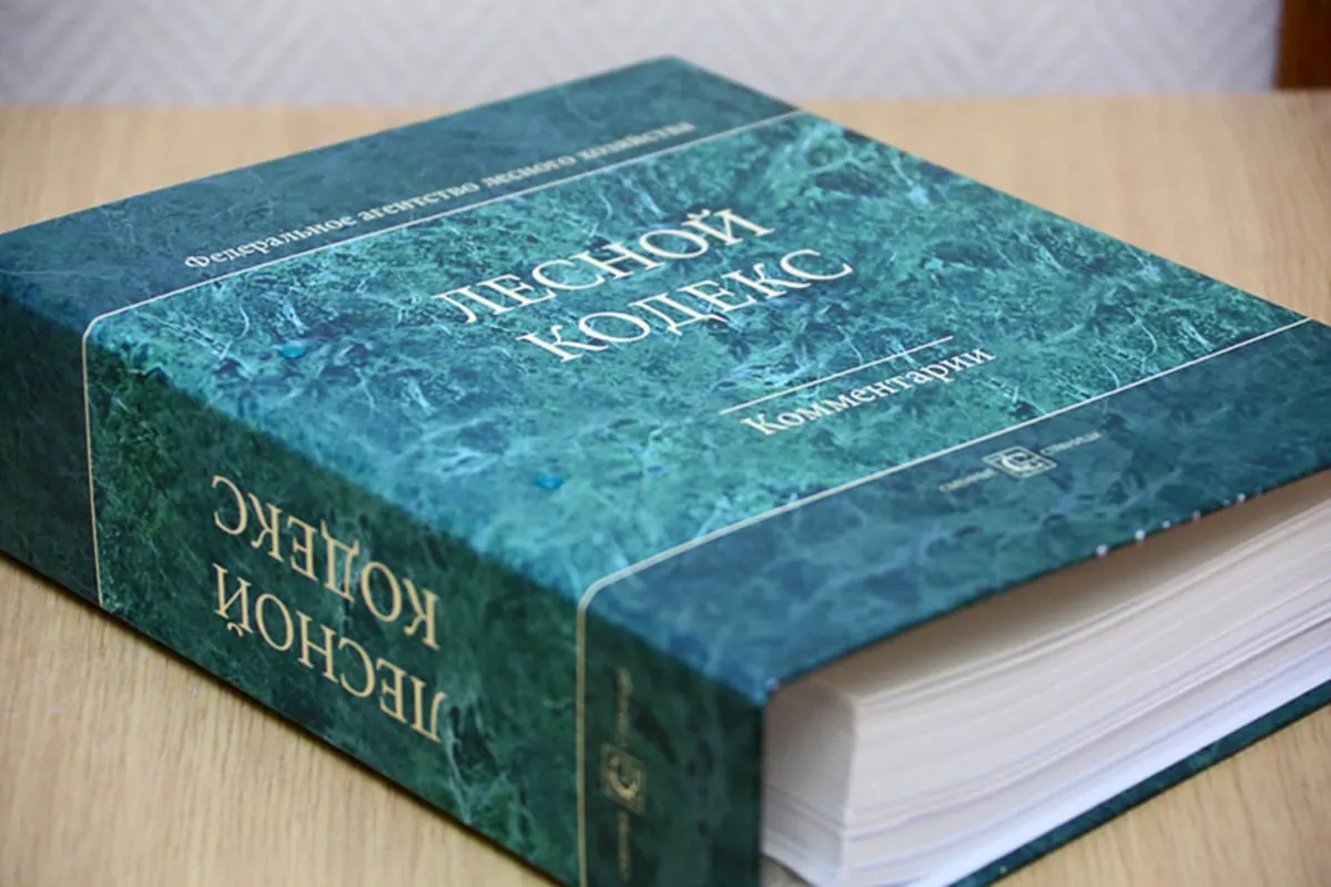 Кодекс 2006 года претерпел 79 пакетов поправок, последний из которых вступит в силу в сентябре. По мнению эксперта, документ следует существенно упростить или заменить целиком.