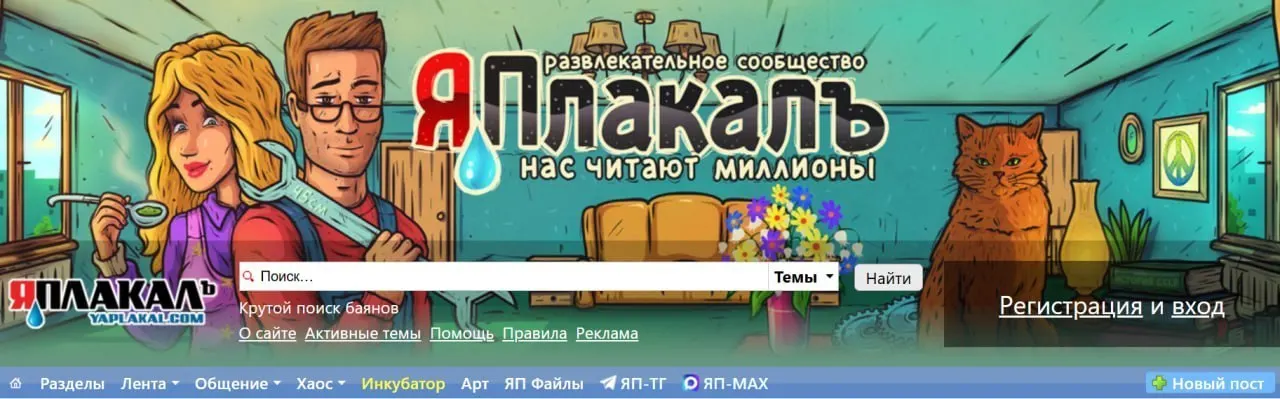 Чертановский районный суд Москвы ограничил доступ к сайту из‑за материалов, которые, по мнению прокуратуры, унижают человеческое достоинство и содержат оскорбления по национальному или расовому признаку; доступ к ним был общедоступен, поэтому ресурс решили запретить.