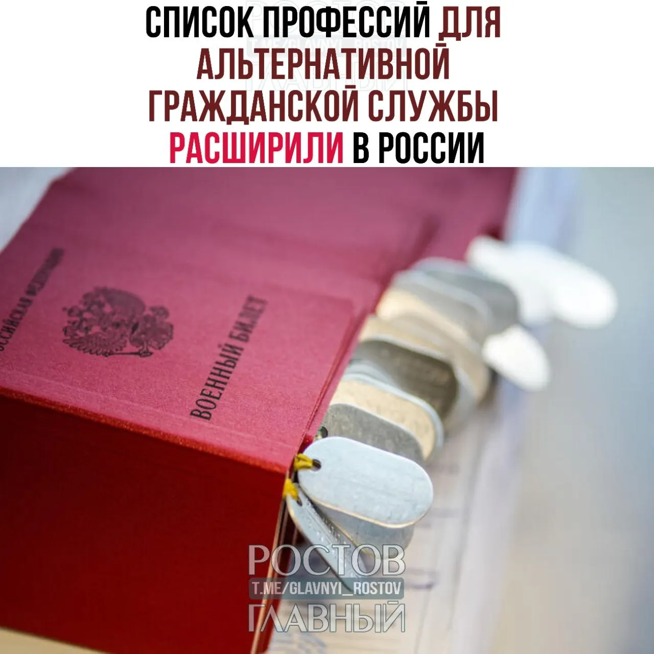 В обновлённый список включили медиков, рабочих и творческие специальности — теперь 363 направления вместо прежних 271.