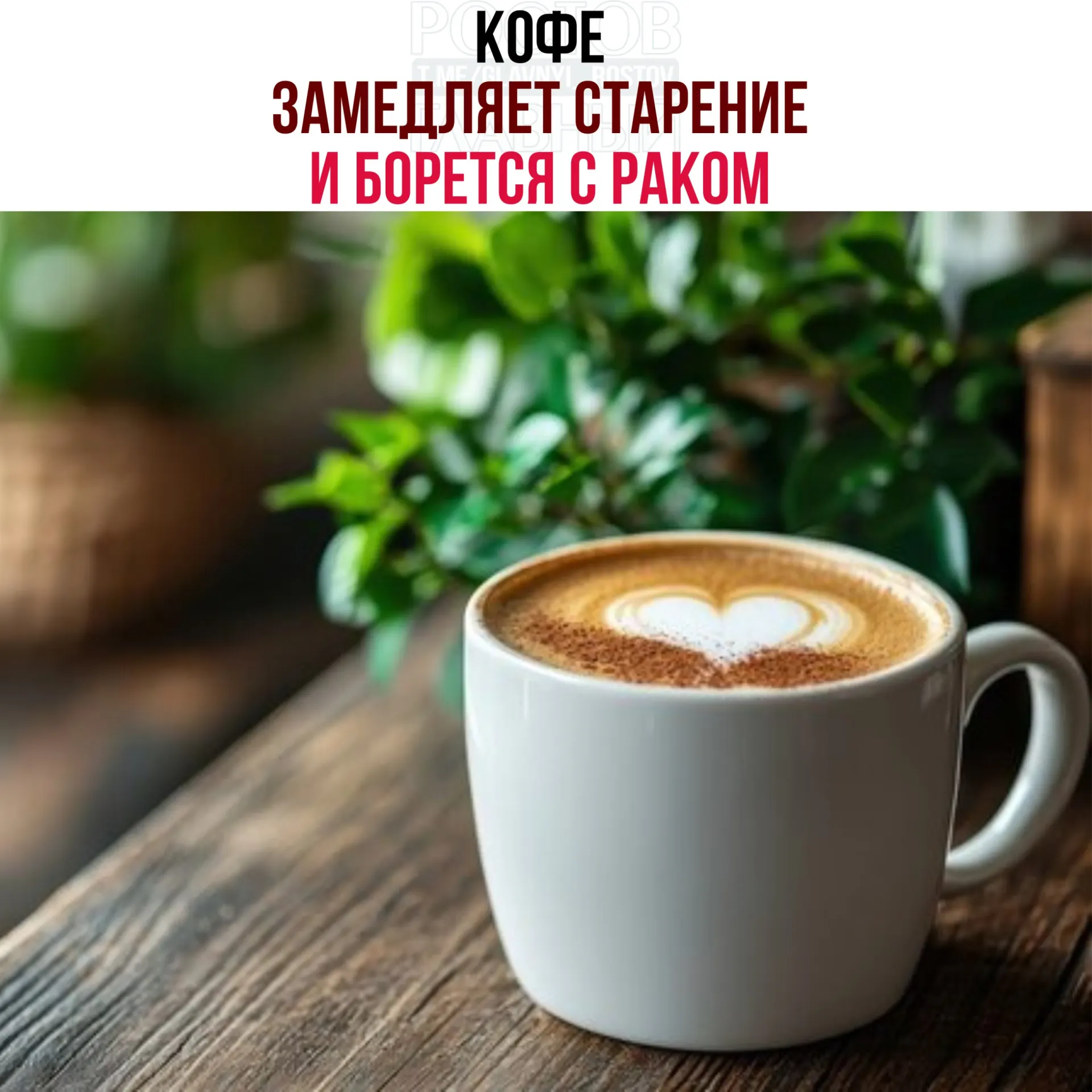 Учёные обнаружили, что кислоты и полифенолы в зёрнах кофе усиливают работу белка NR4A1, который стимулирует восстановление тканей, снижает воспаление и замедляет деление опухолевых клеток.