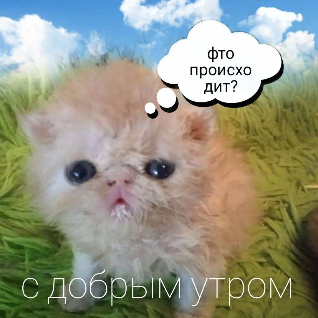 Облачно, возможны порывы ветра. Температура сегодня около +14°С, днём поднимется до +22°С.