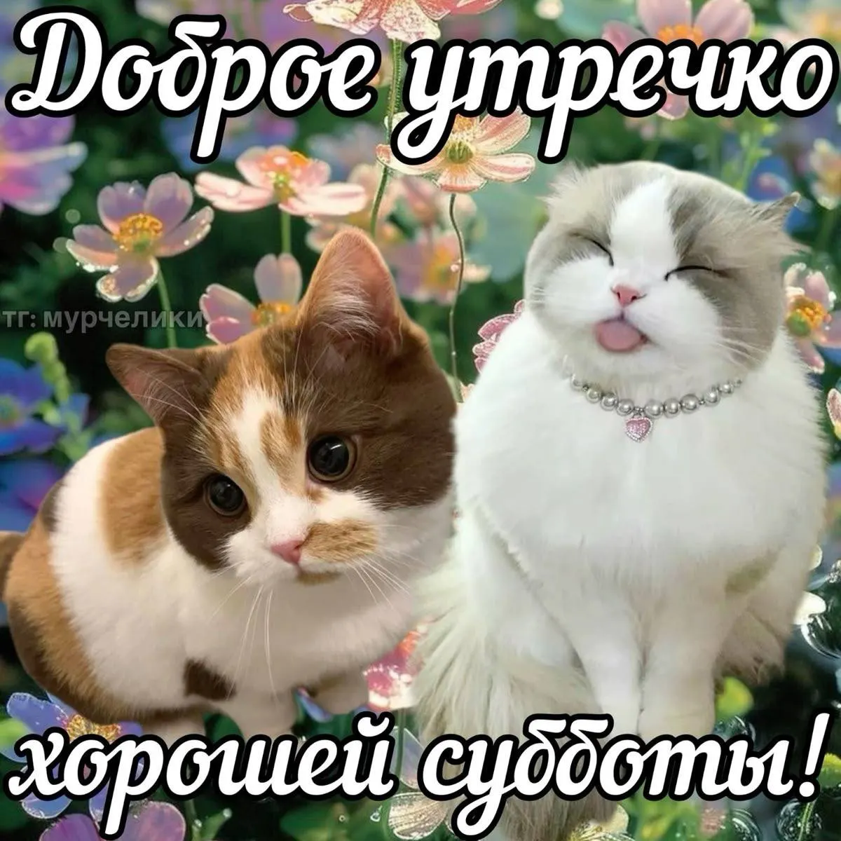 Утро в Уфе прохладное — около +19°С. Днем воздух прогреется до +26°С, к вечеру — примерно +21°С. Ожидается облачная погода.