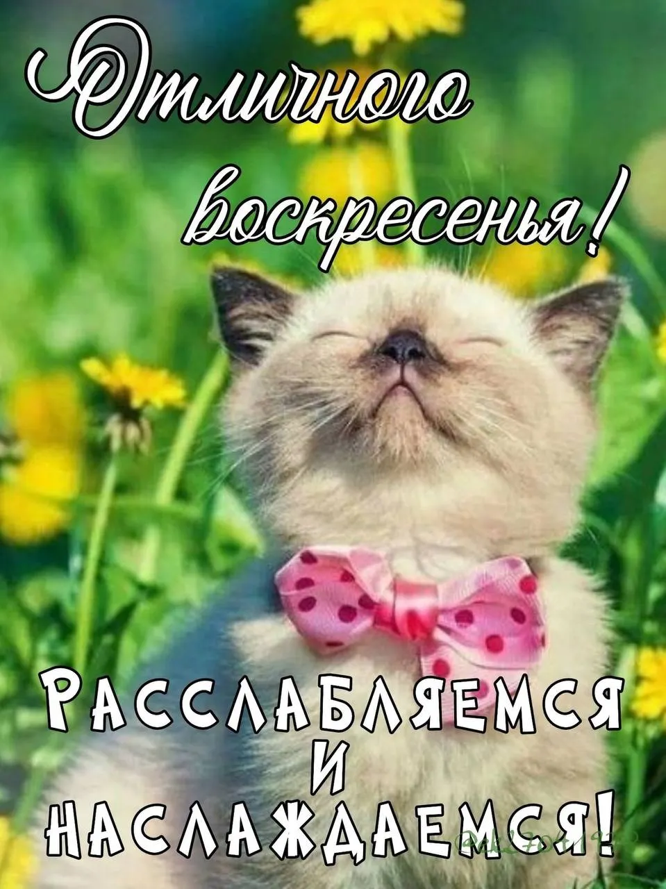 Днём температура поднимется до +23°С. Ожидается облачная погода, в регионе возможны грозы.