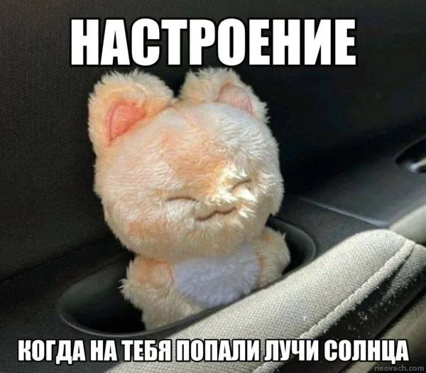 В Чите фиксируют 244 солнечных дня в году; в тройке лидеров — Хабаровск и Якутск. В подборке также Улан‑Удэ, Владивосток, Астрахань, Омск, Уфа, Краснодар и Иркутск.