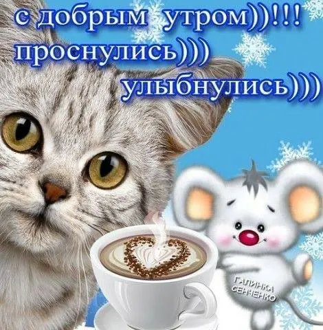 Утром прохладно, днем температура поднимется до примерно +26°С. Ожидается облачность и кратковременные дожди.