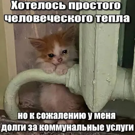 Суд подтвердил, что по долгам за капремонт действует трёхлетний срок исковой давности; задолженности старше этого срока не подлежат принудительному взысканию через квитанции — важная защита для покупателей вторички и наследников.