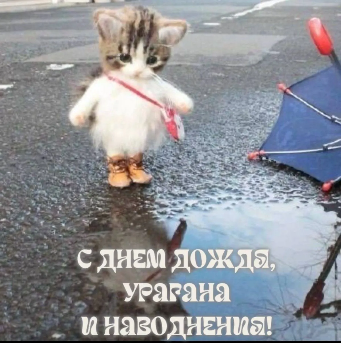 Сегодня в Уфе тепло, но не так жарко, как вчера: синоптики прогнозируют до +28°C, грозу и порывистый ветер.