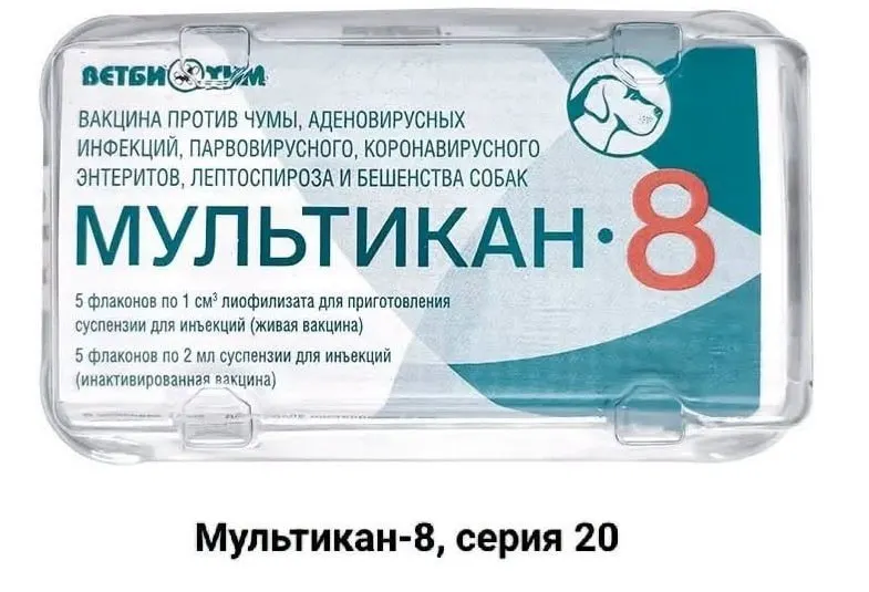 Хозяева собак, погибших после вакцинации препаратом Мультикан-8, требуют прозрачного расследования и независимой проверки вакцины.
