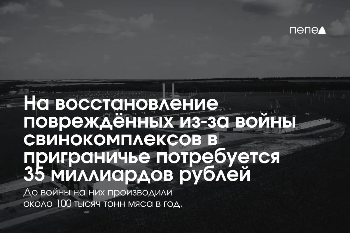 В Белгородской, Курской и Брянской областях восстановление свиноводства после обстрелов оценивается в 35 млрд рублей; дополнительные вложения пойдут на безопасность и защиту объектов.