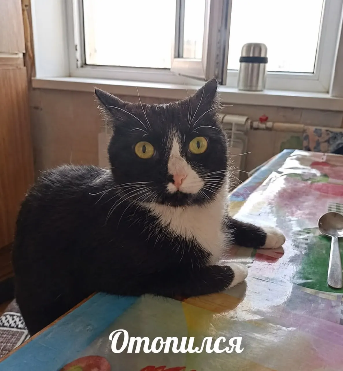 89% домов в Уфе уже подключены к отоплению. Плановые проверки отопительных сетей БашРТС пройдут с 7 по 15 октября; температурный режим будет постепенно подниматься и возвращаться к норме.